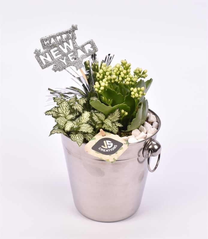 Champagnekoeler zilver 14 cm, D 14