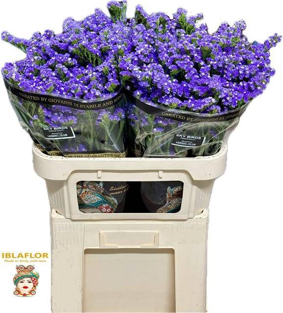 Статица Скай Бердс 75, шт.