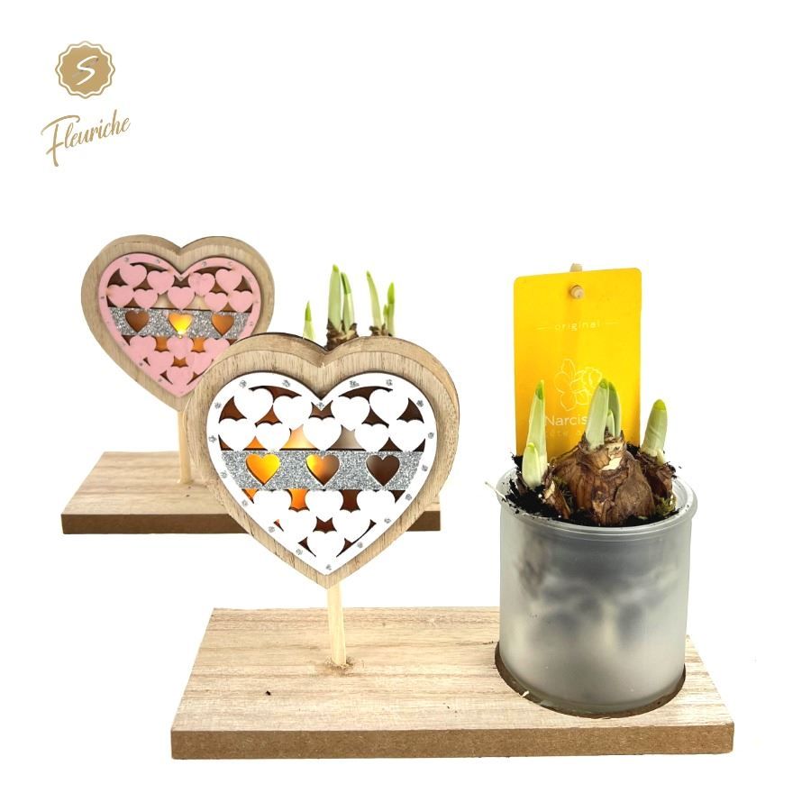 (9701) Narcissus Pink Valentijn 1PP, D 19 cm