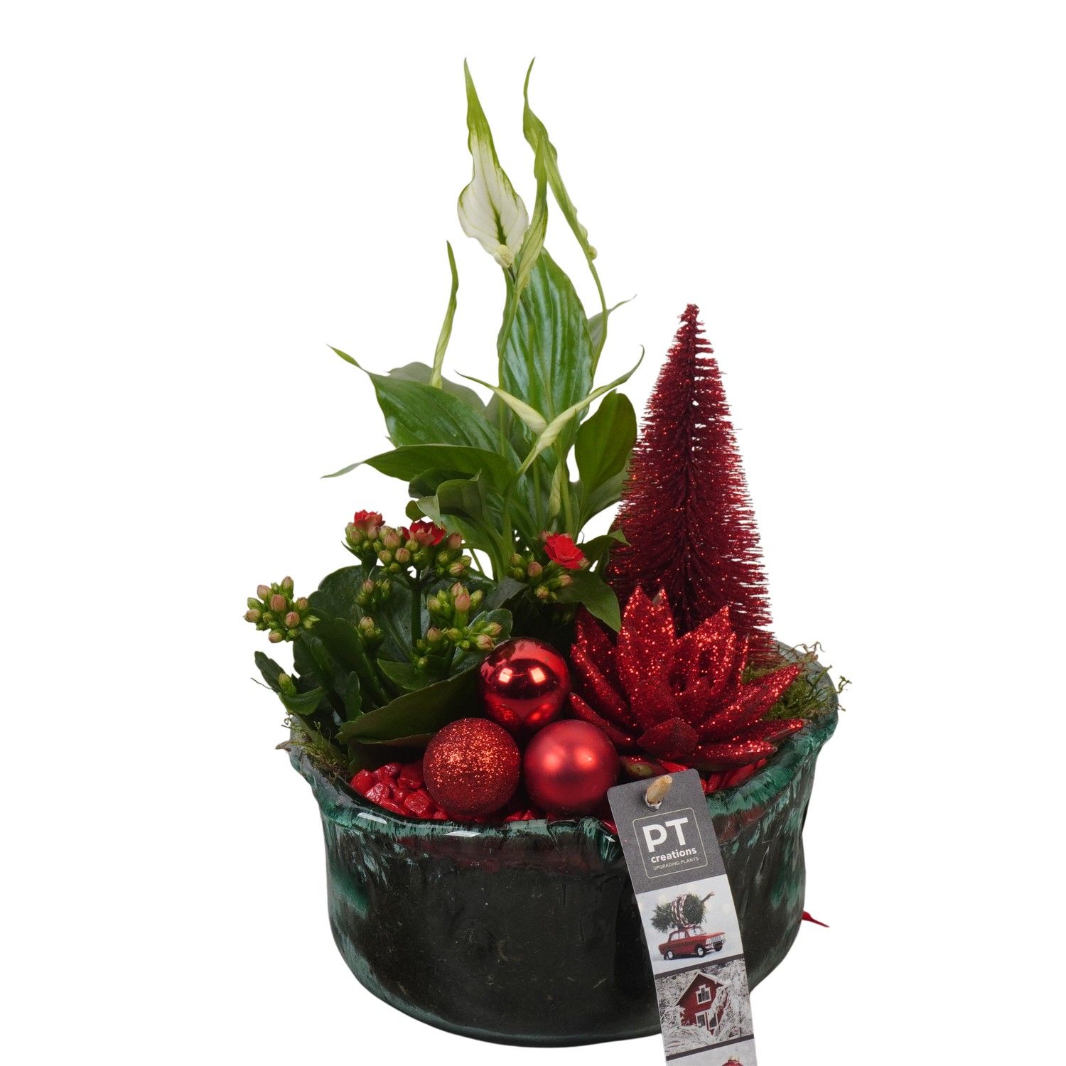 PTCHR7437 Arrangement Christmas Red in glas schaal, D 18 cm