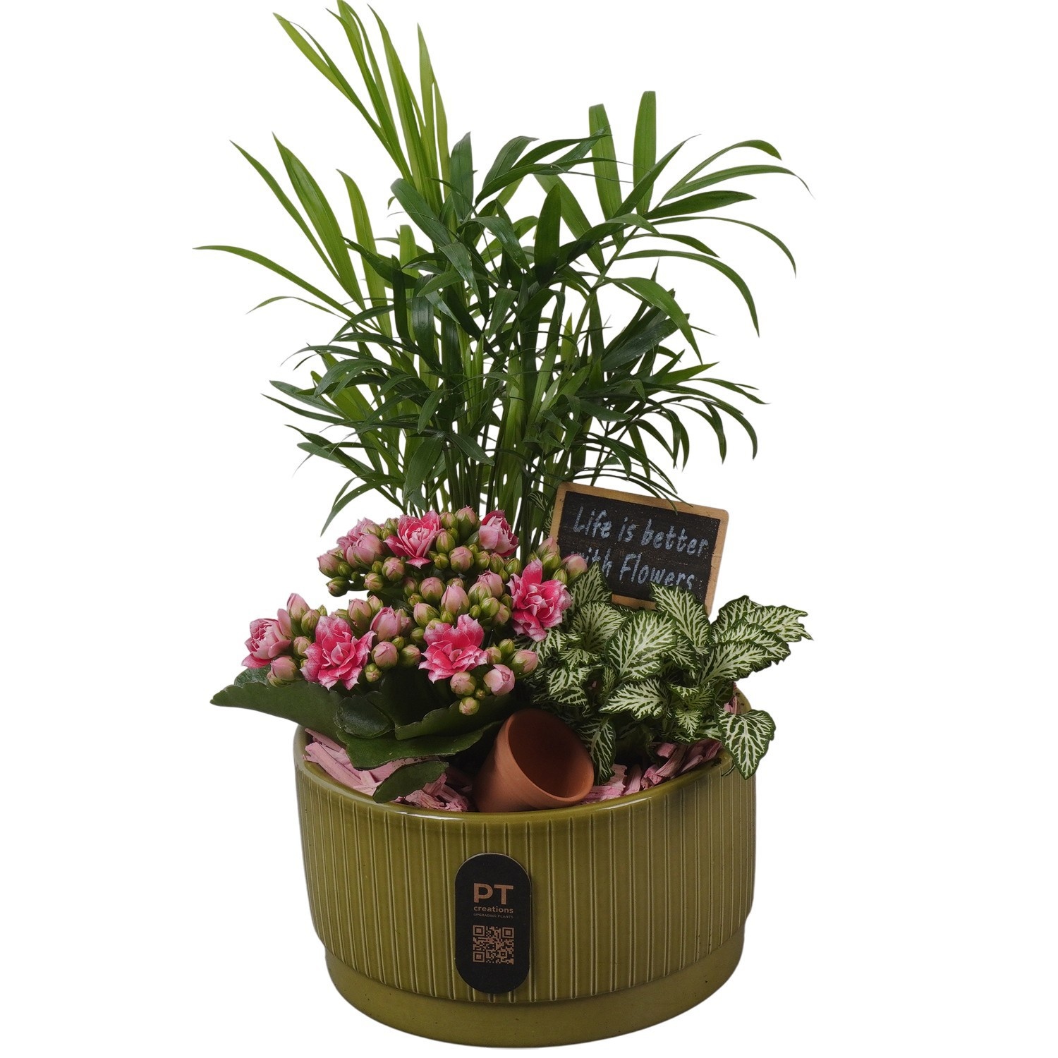 PTIB5111 Arrangement Indoor in keramiek schaal, D 16