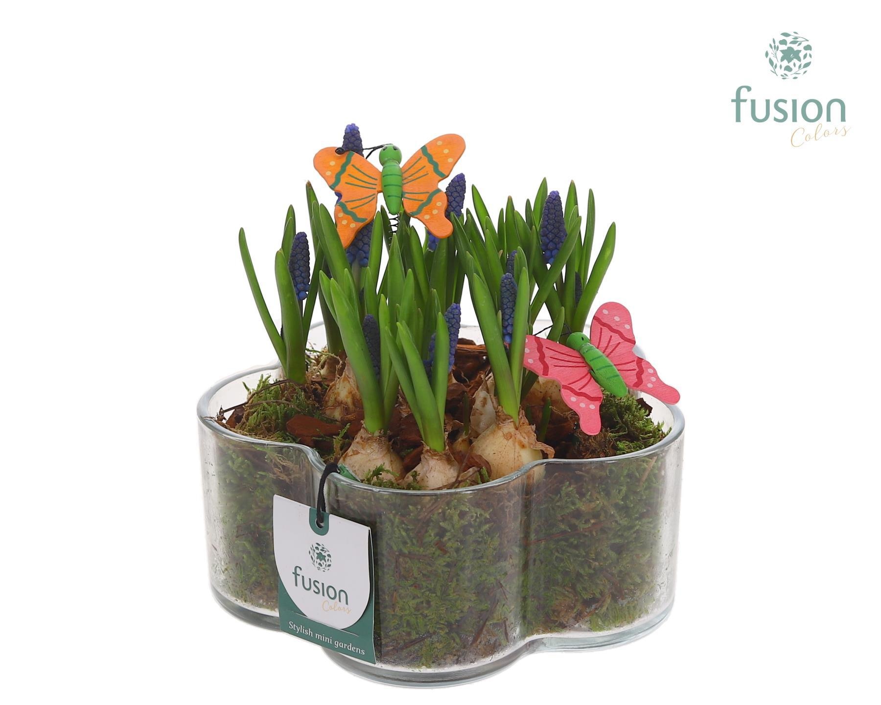 Glazen Bloemschaalmet Muscari, D 18