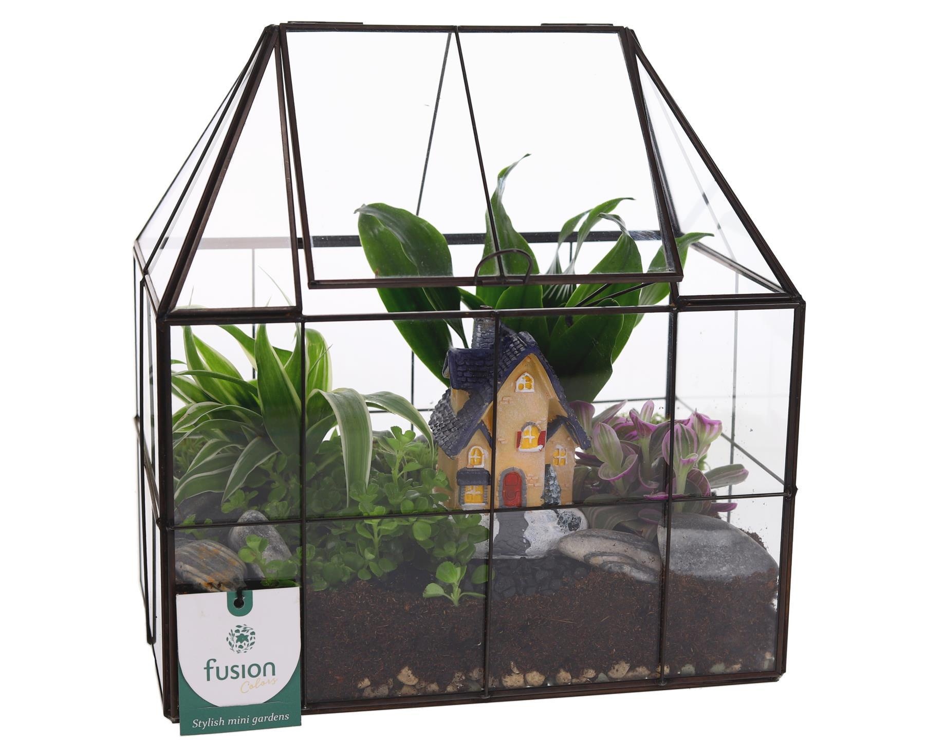 Metaal Geometrisch Medium planter met Terrarium, D 25