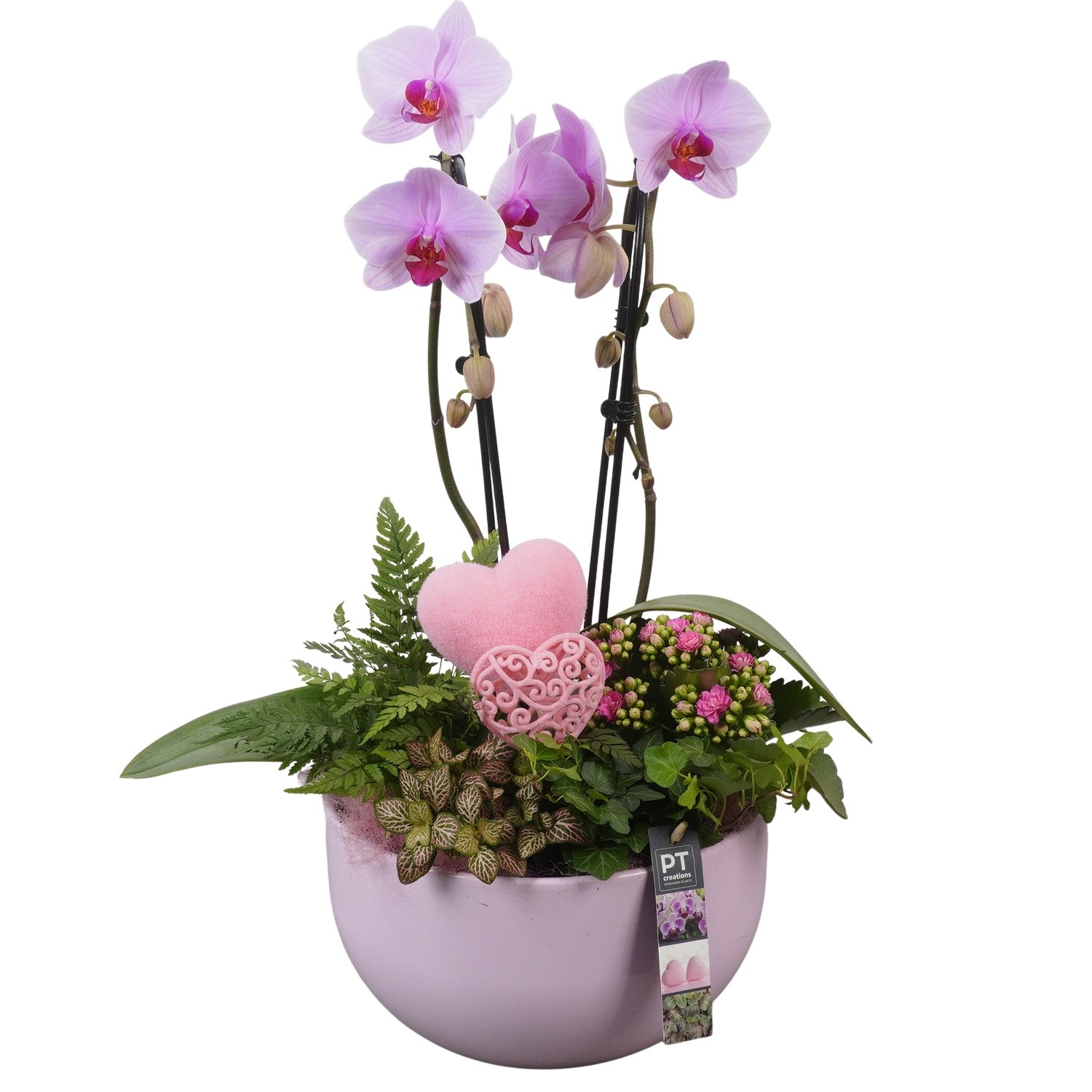 PTVMB2218 Arrangement Valentines-Mothersday in keramiek schaal, D 26