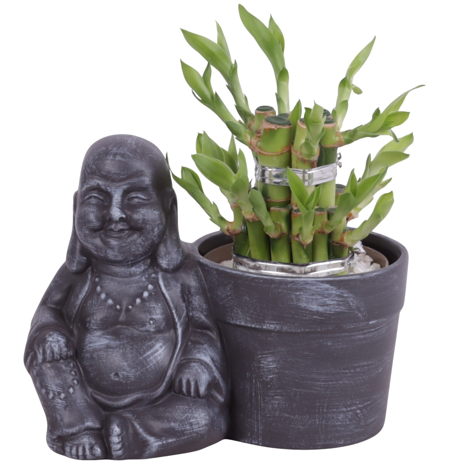 Lucky Bamboo Shape Round 2S in Ceramic Sitting Buddha Ø19cm, D 19