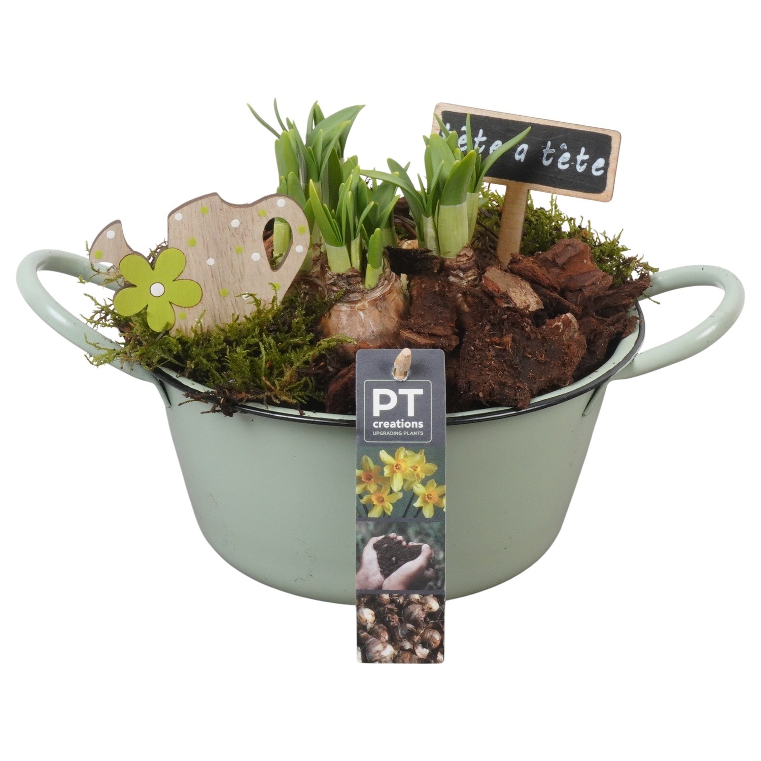 PTN8531 Arrangement Narcissus in zink schaal, D 19