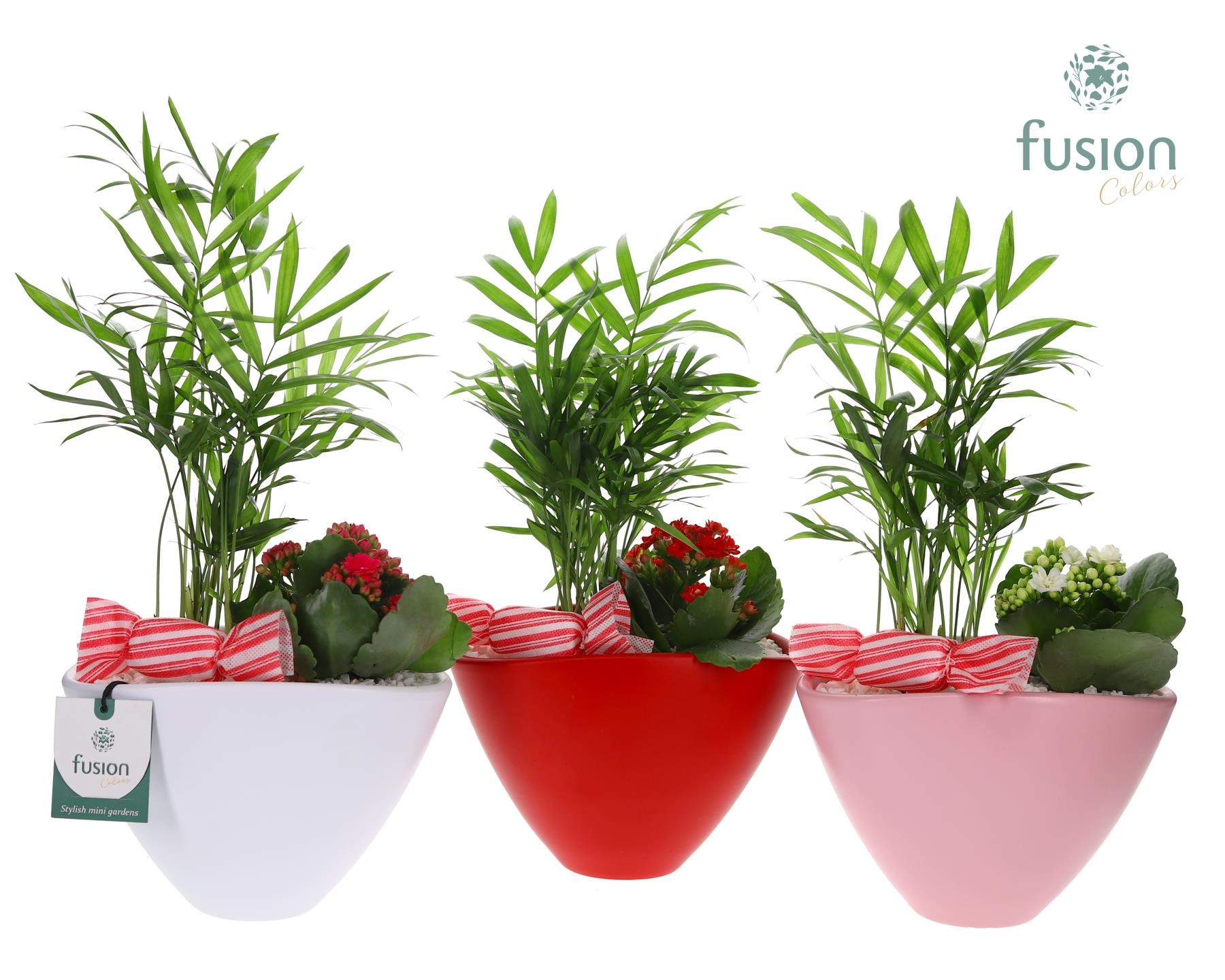 Pot keramiek ovaal Medium met Arrangement, D 18