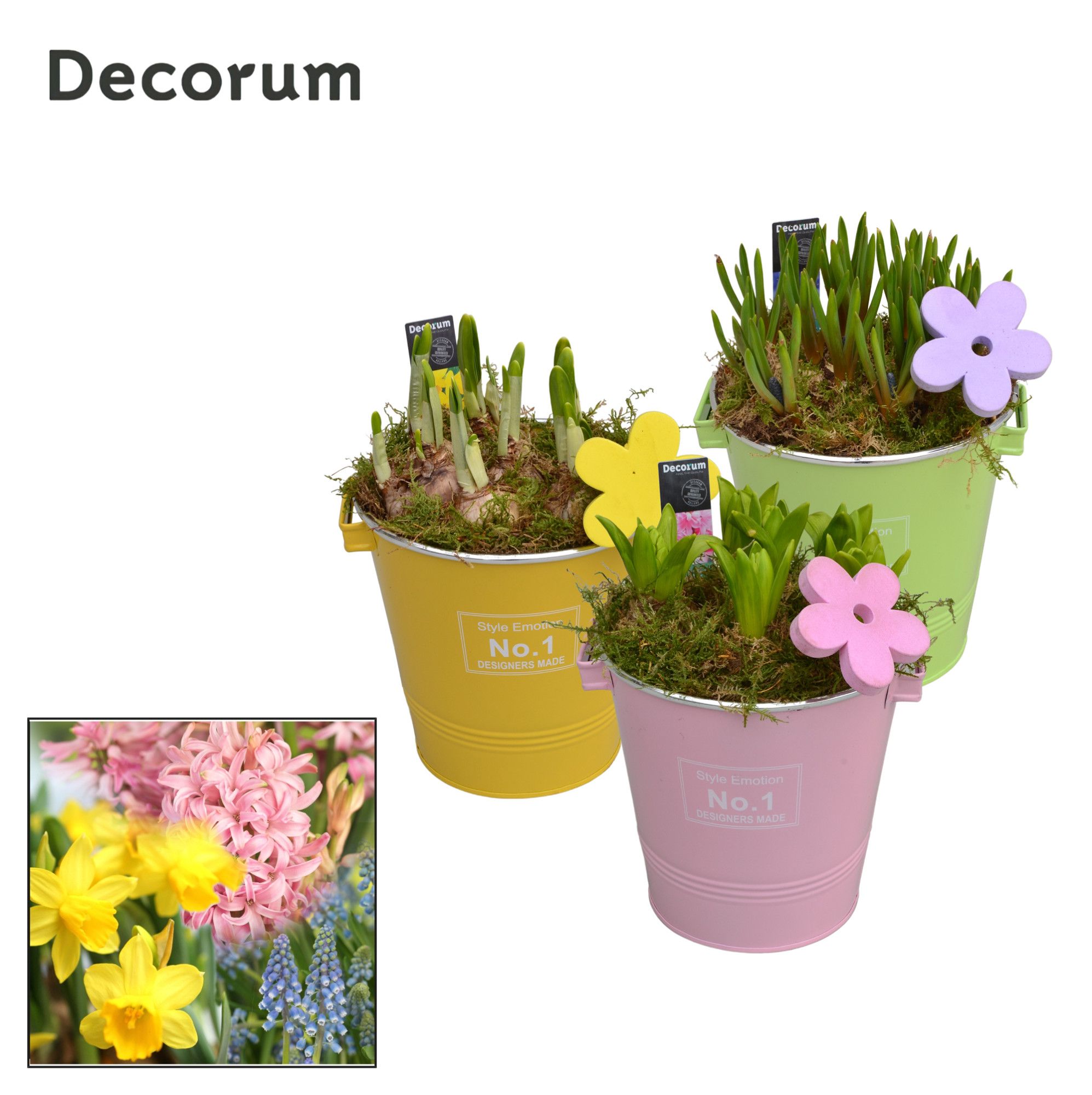 Bollenmix Colourful Bucket Maxi HL17593B, D 18