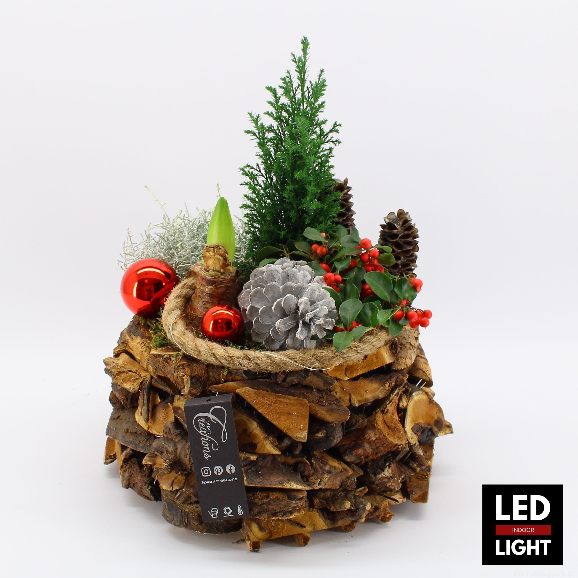 GACR-2510LED Gaultheria creatie, D 35 cm