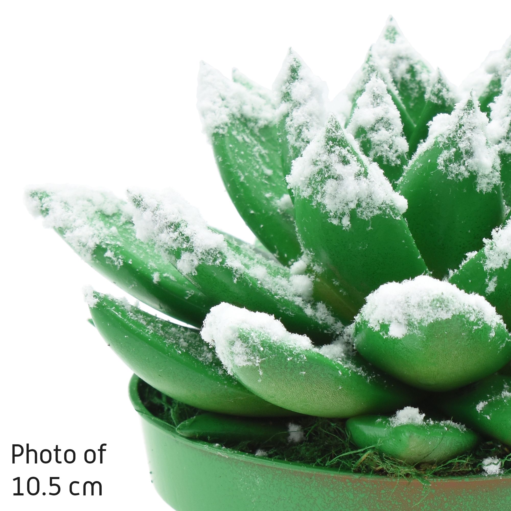 Miranda coloured green + snow, D 6