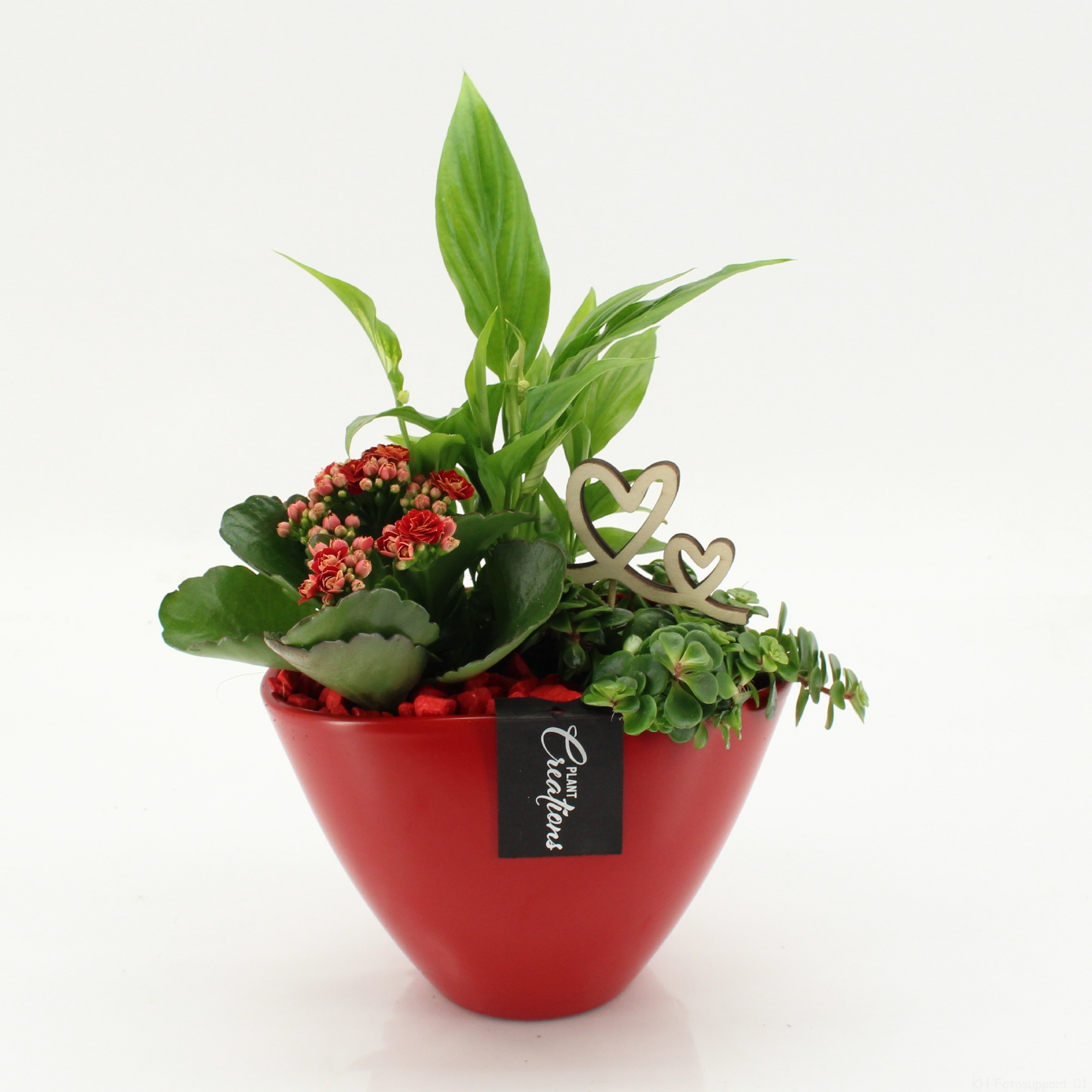 RMCR-2629R Romantic Essentials, D 18