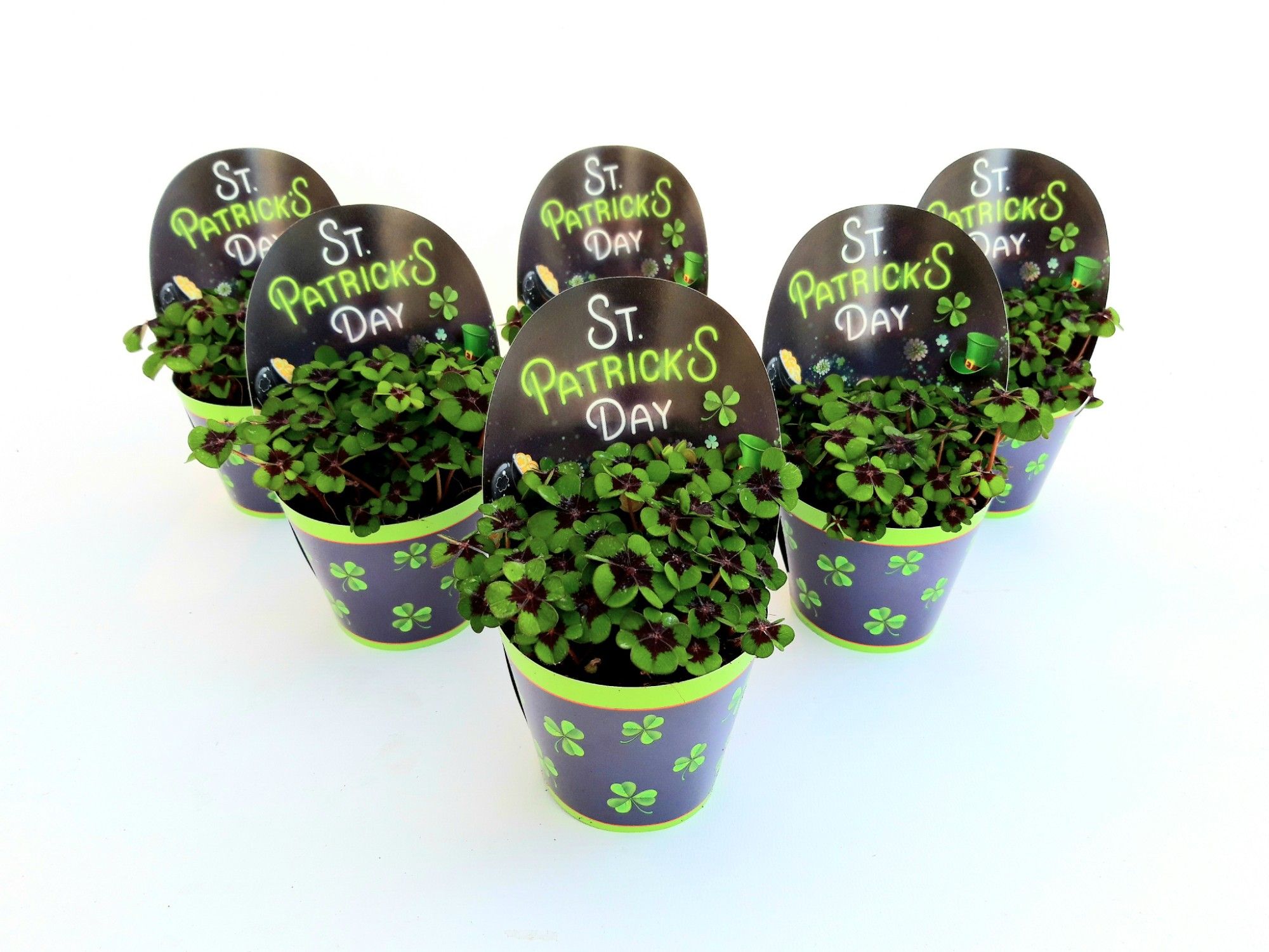 St. Patrick Iron Cross, D 9