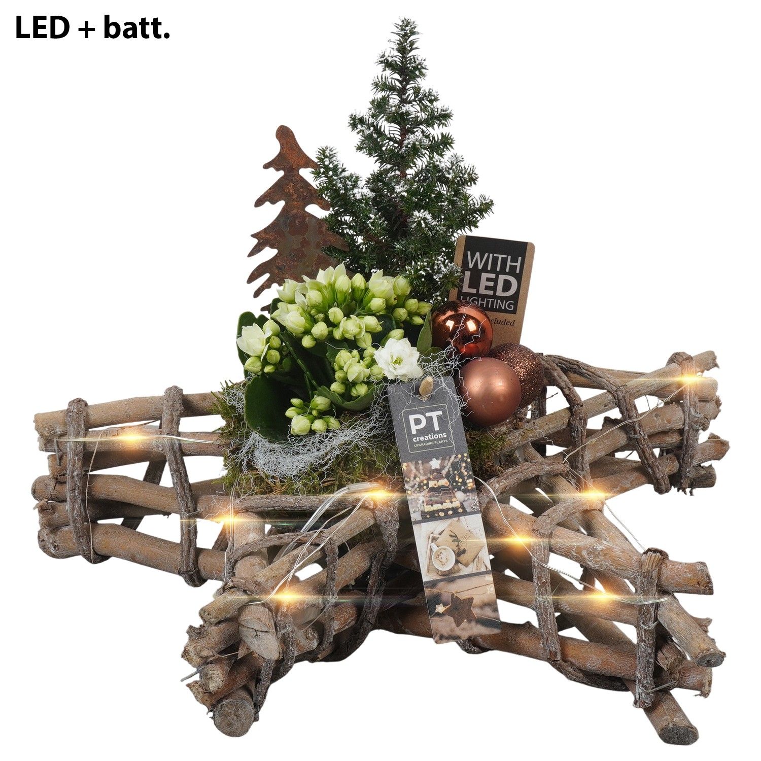 PTCHB9821 Arrangement Christmas Bronze in houten ster, D 33 cm