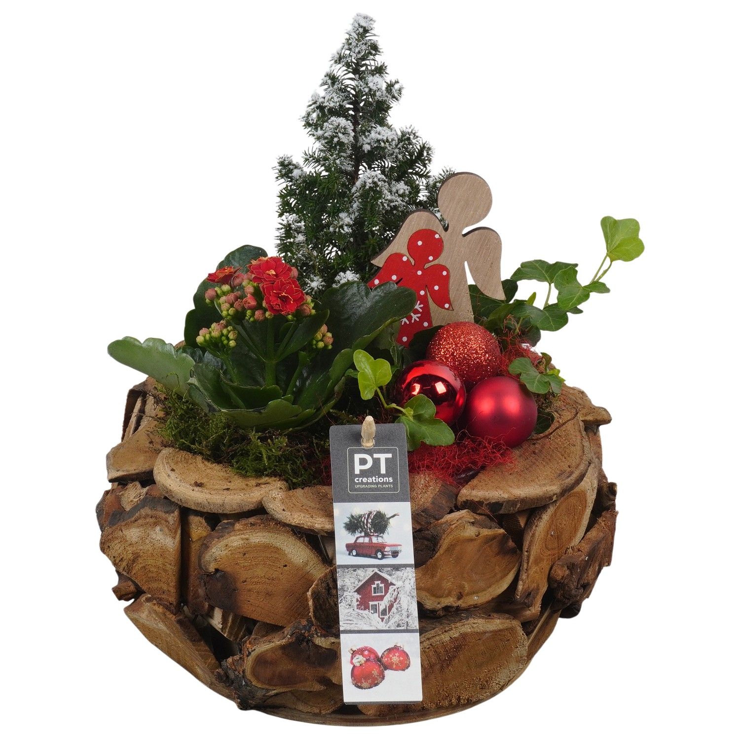 PTCHR7356 Arrangement Christmas Red in houten pot, D 24 cm