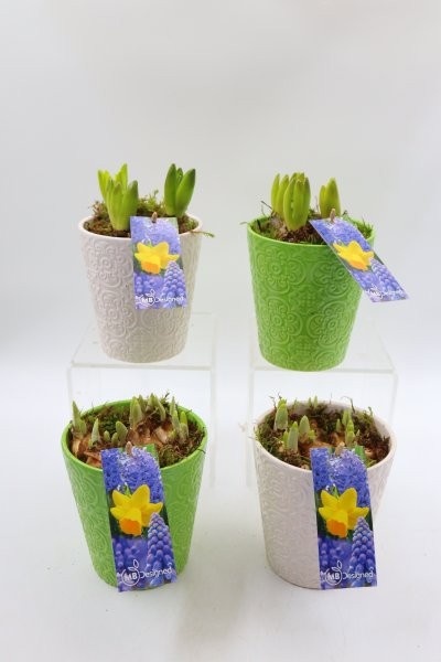 Bollen, keramiek pot; mix, D 13