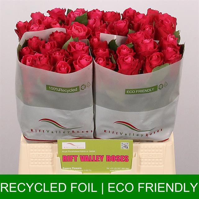 Роза од. Муви Стар 40, шт.