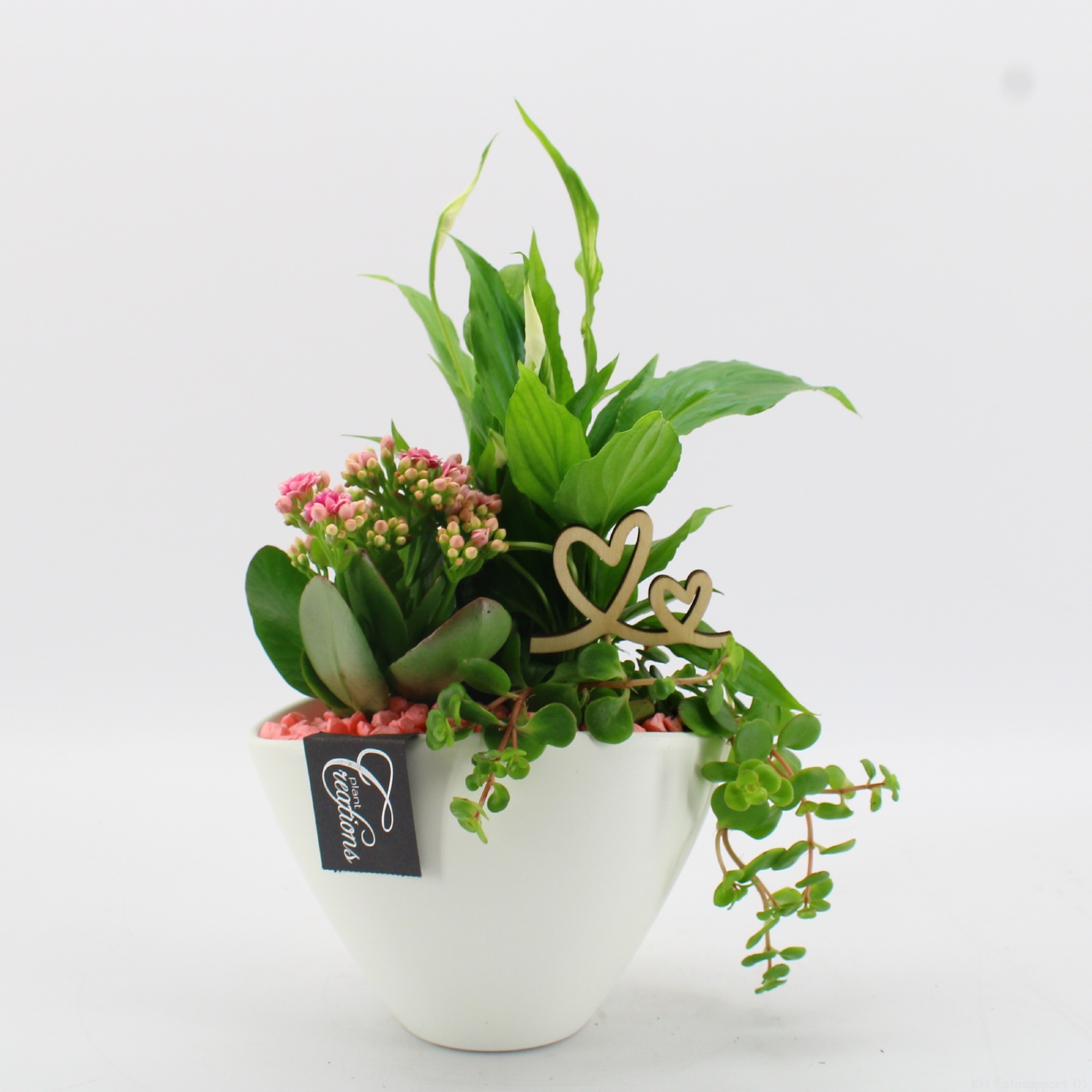 RMCR-2629RZ Romantic Essentials, D 18