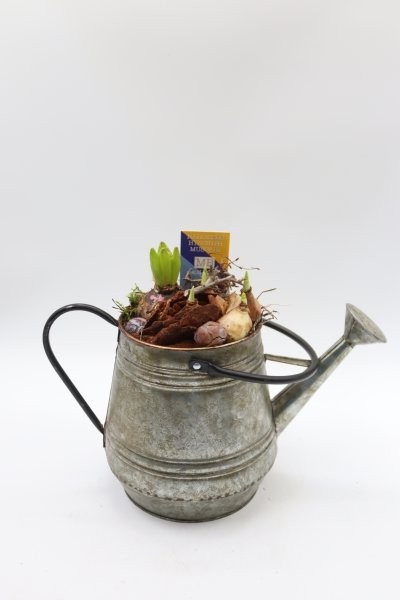 Bollen, gieter L, D 17