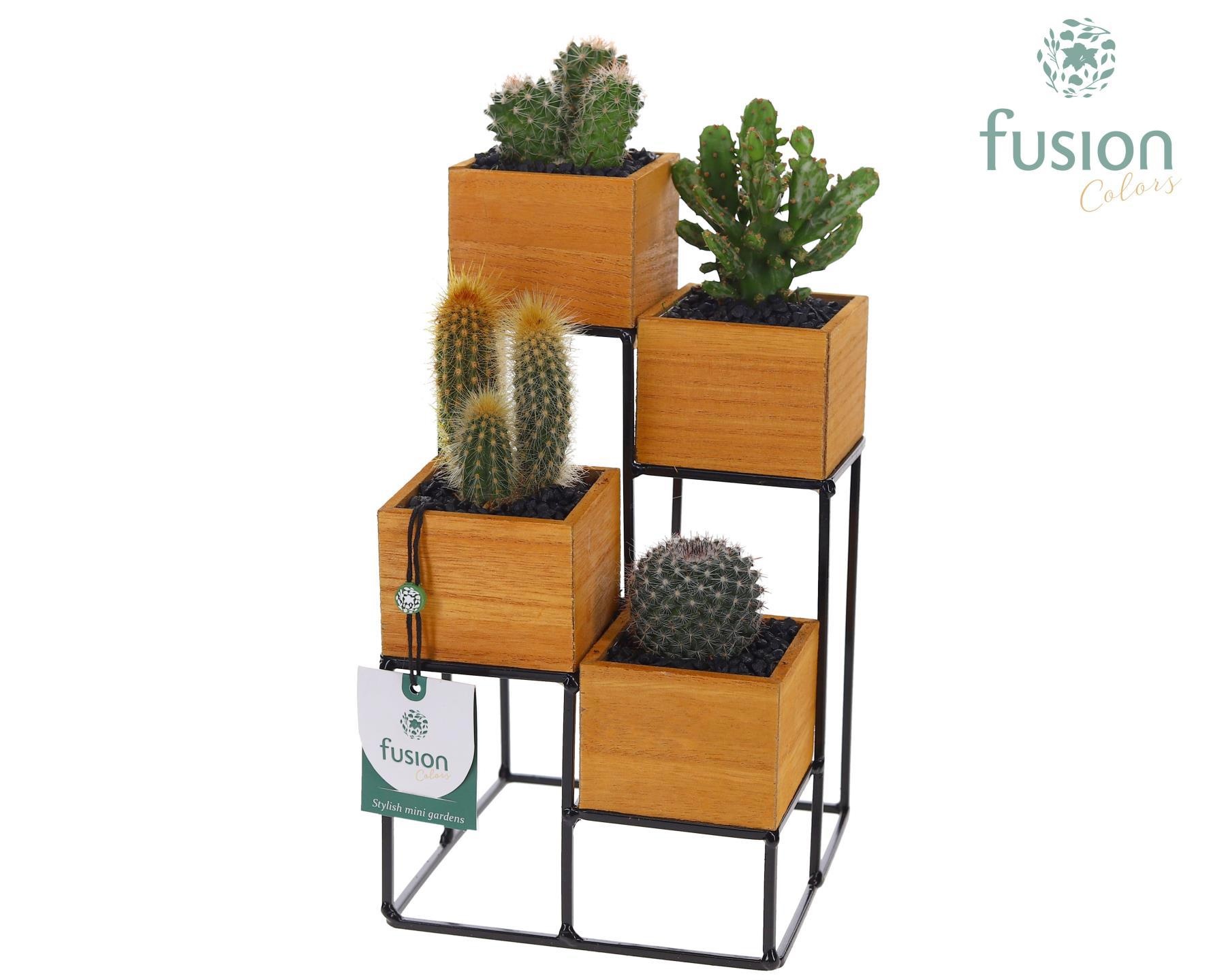 Tower hout met metaal met Cactussen, D 15