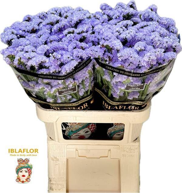 Статица Донау Бердс 80 (светло-роз.), шт.