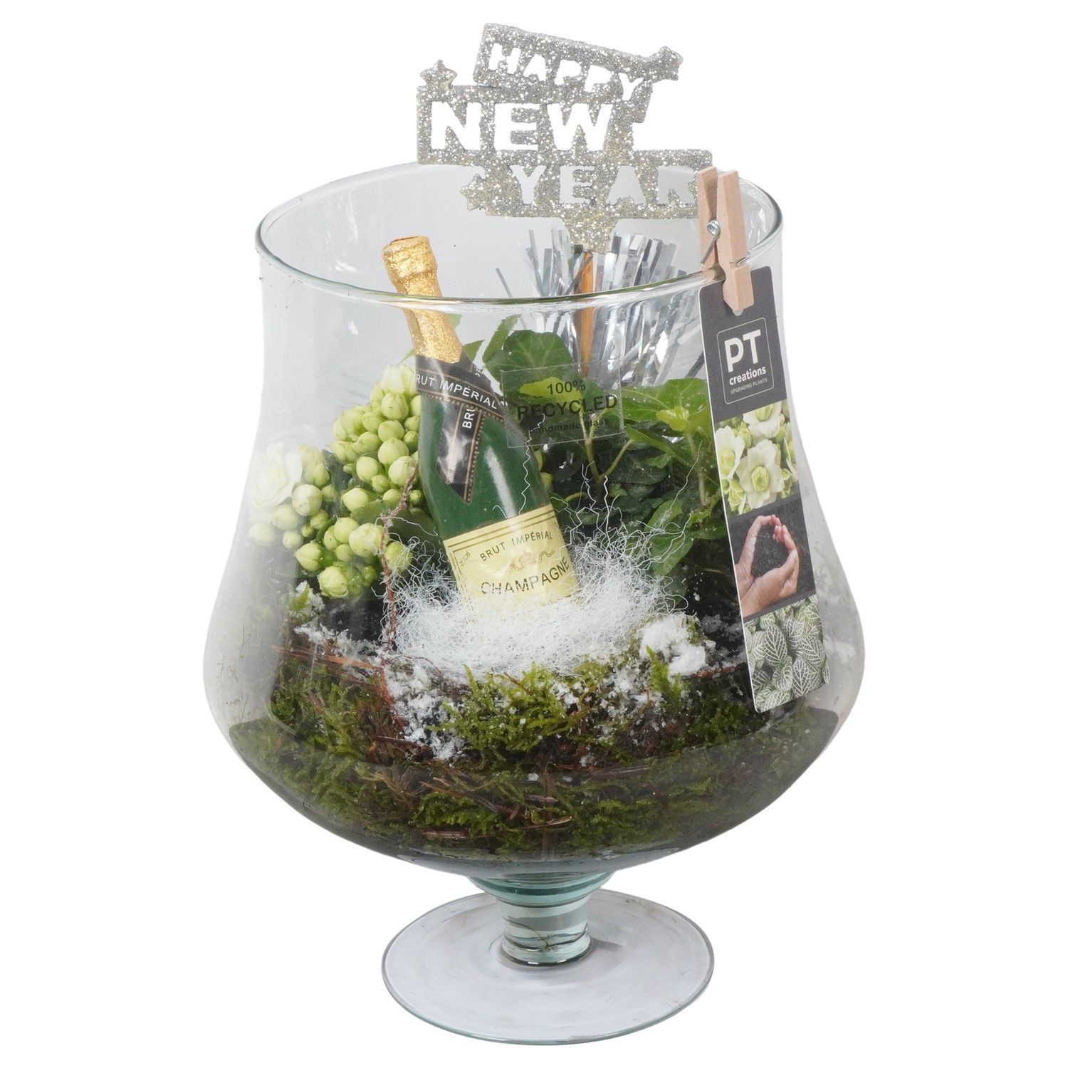 PTON7946 Arrangement New Year in cognacglas, D 14 cm