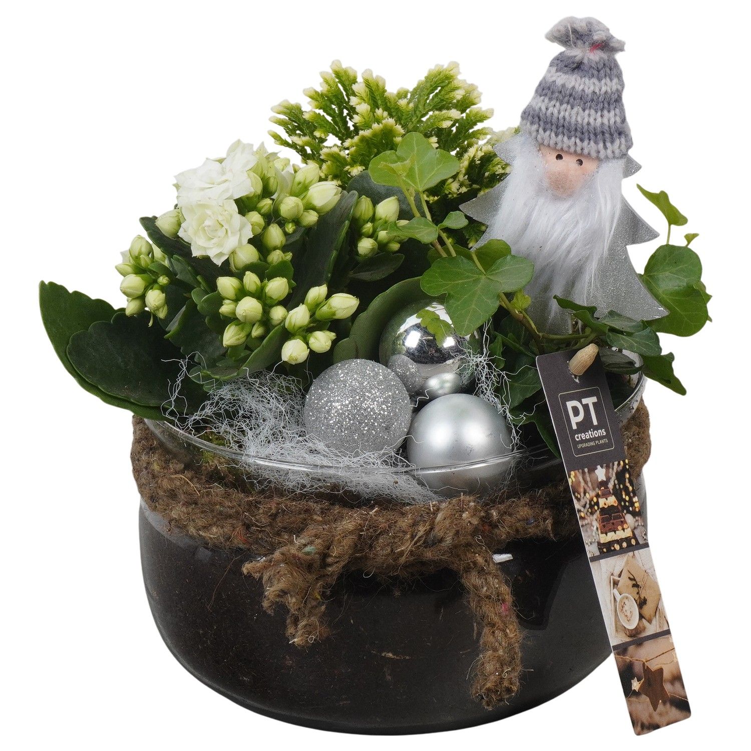 PTCHW4369 Arrangement Christmas White in glas schaal, D 16 cm