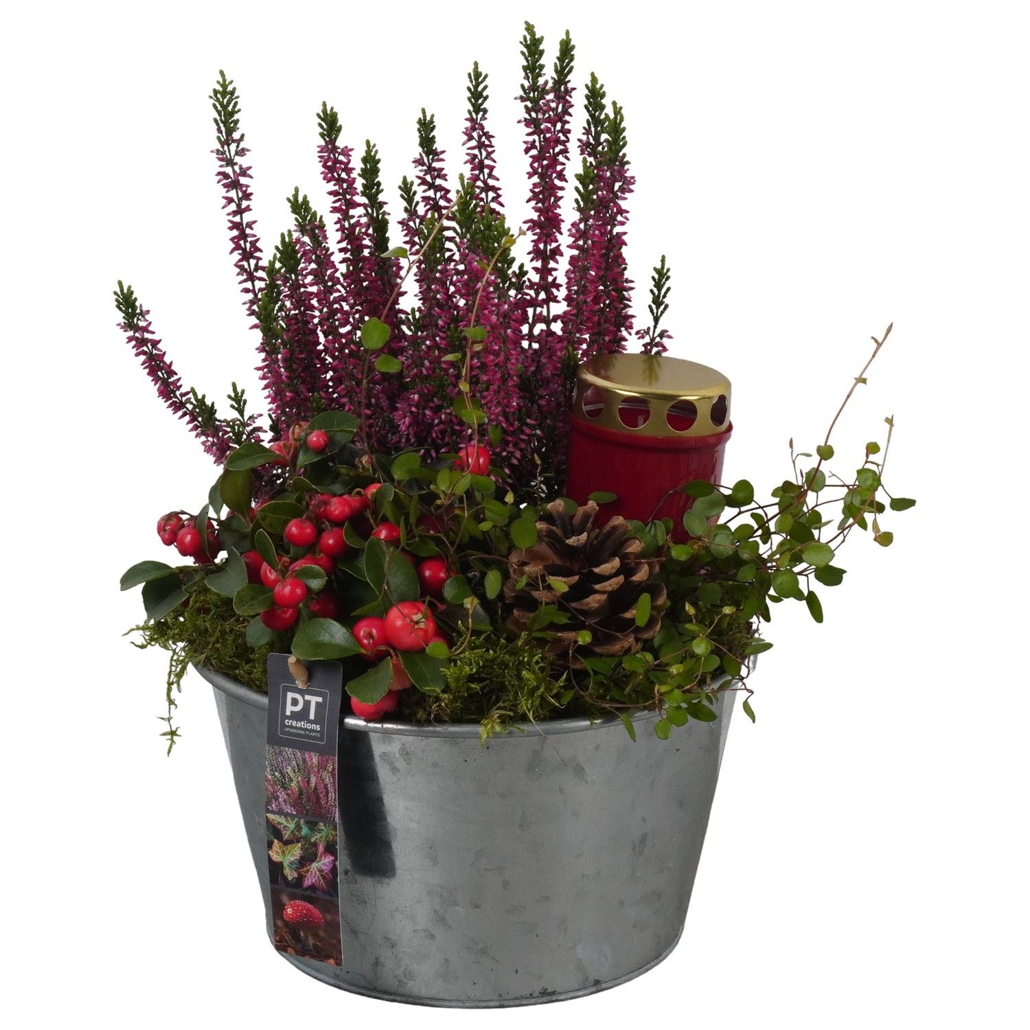 PTAH8685 Arrangement Allerheiligen in metalen pot, D 22 cm PTAH8685 Arrangement Allerheiligen in metalen pot, D 22 cm