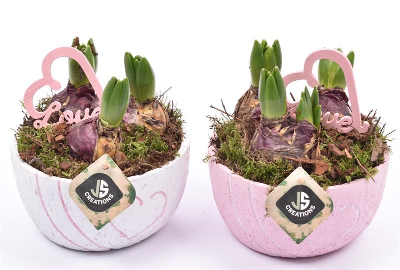 Cement schaal hart decor mix 16cm, D 16