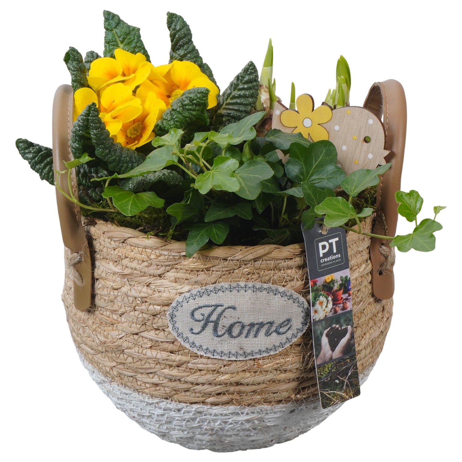 PTBM3831 Arrangement Flower Bulbs Mix in rieten mand, D 21