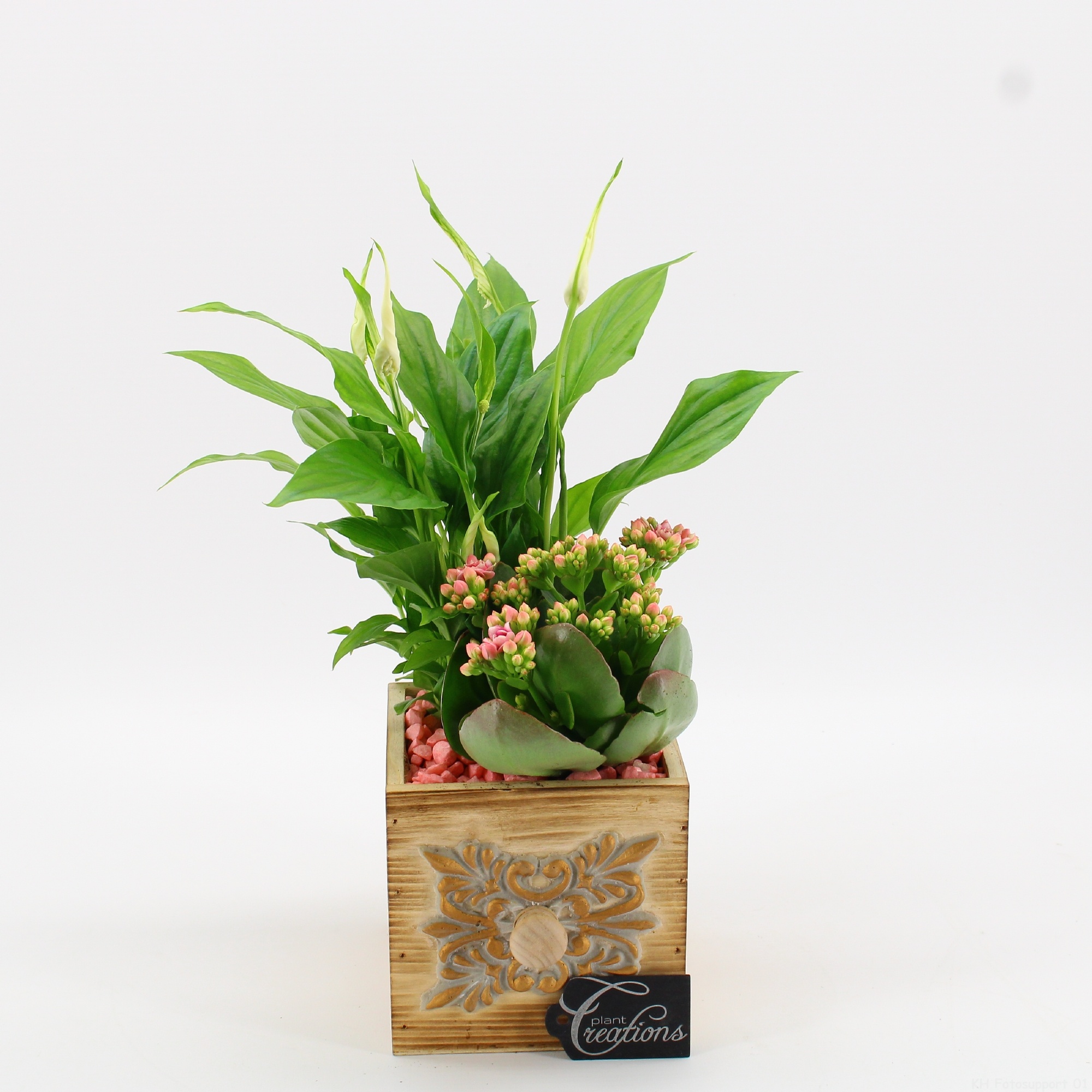 ESCR-2609RZ Essentials, D 12