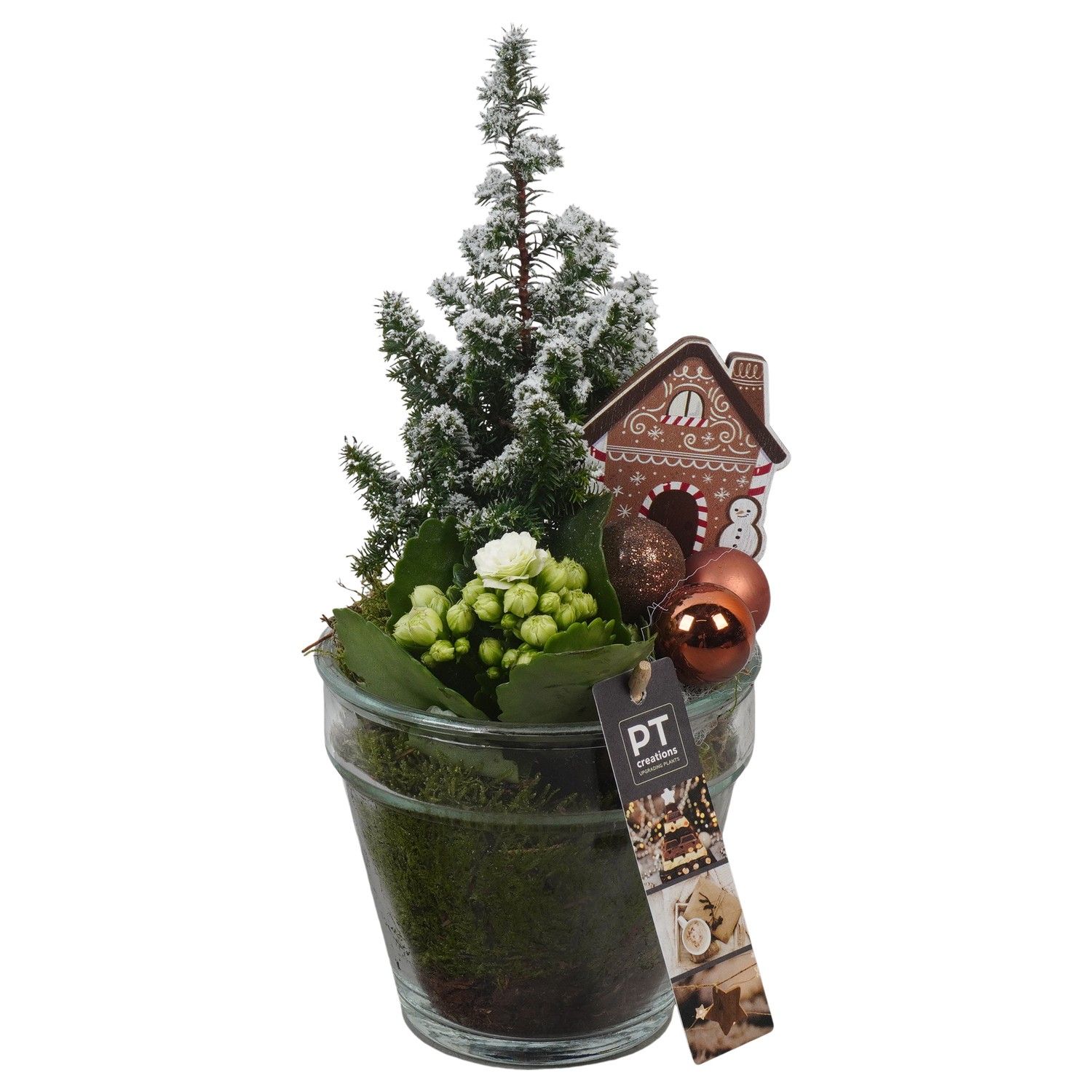 PTCHB9826 Arrangement Christmas Bronze in glazen pot, D 13 cm