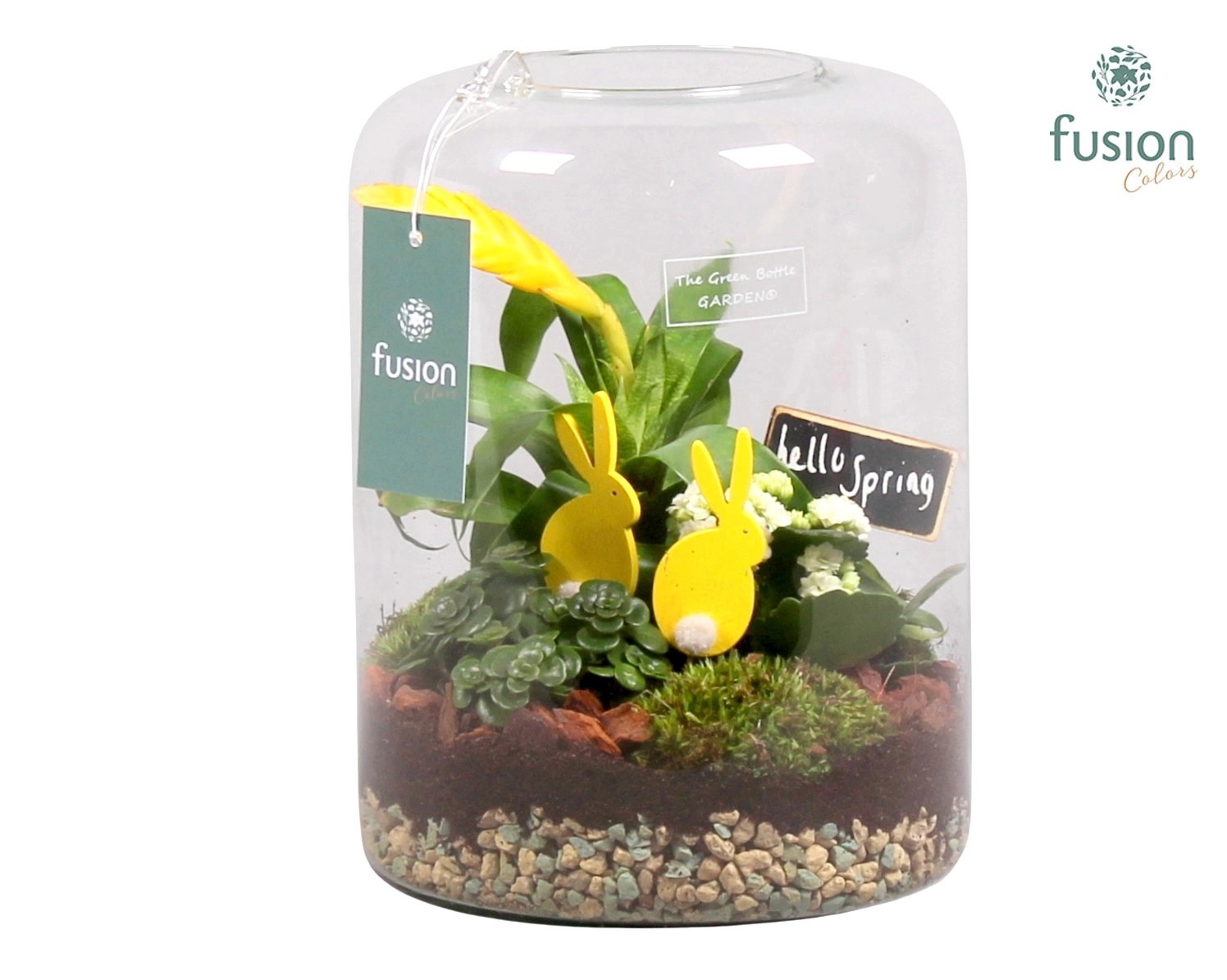 Green BottleIsabella large met Pasen, D 19