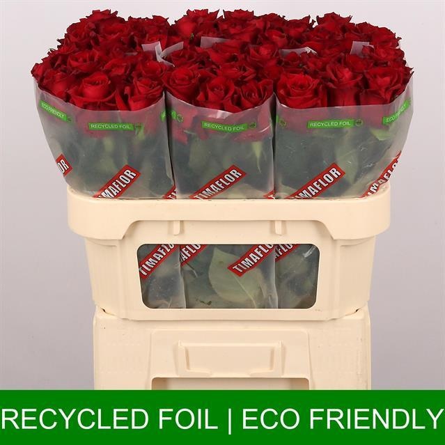 Роза од. Эвер Рэд 70, шт. Роза од. Эвер Рэд 70, шт.