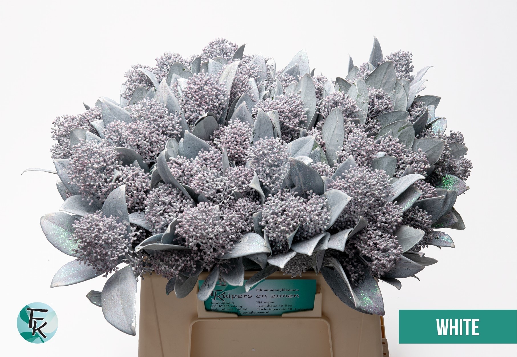 Скимия Овериг крашеный за пучок (краш. ) 45, пуч.