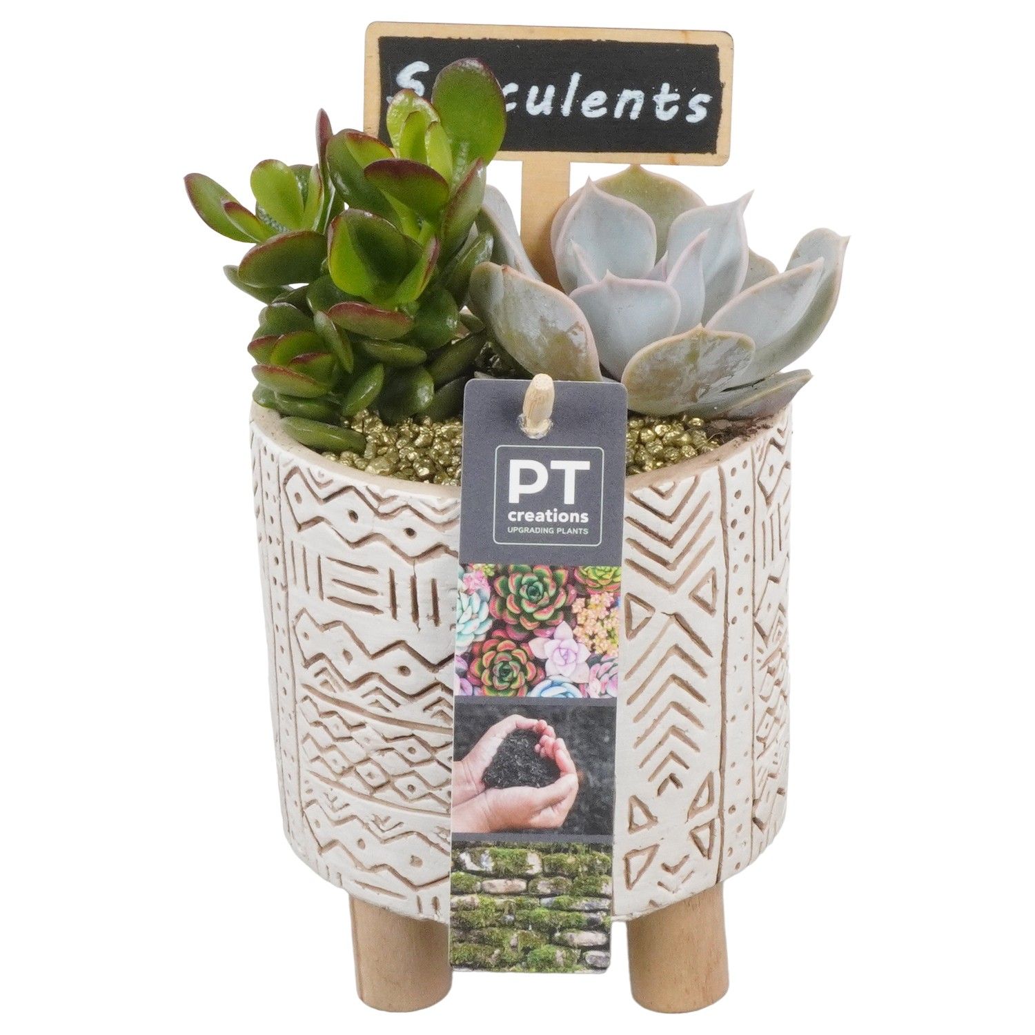 PTSU8482 Arrangement Succulenten in beton pot op houten voet, D 11