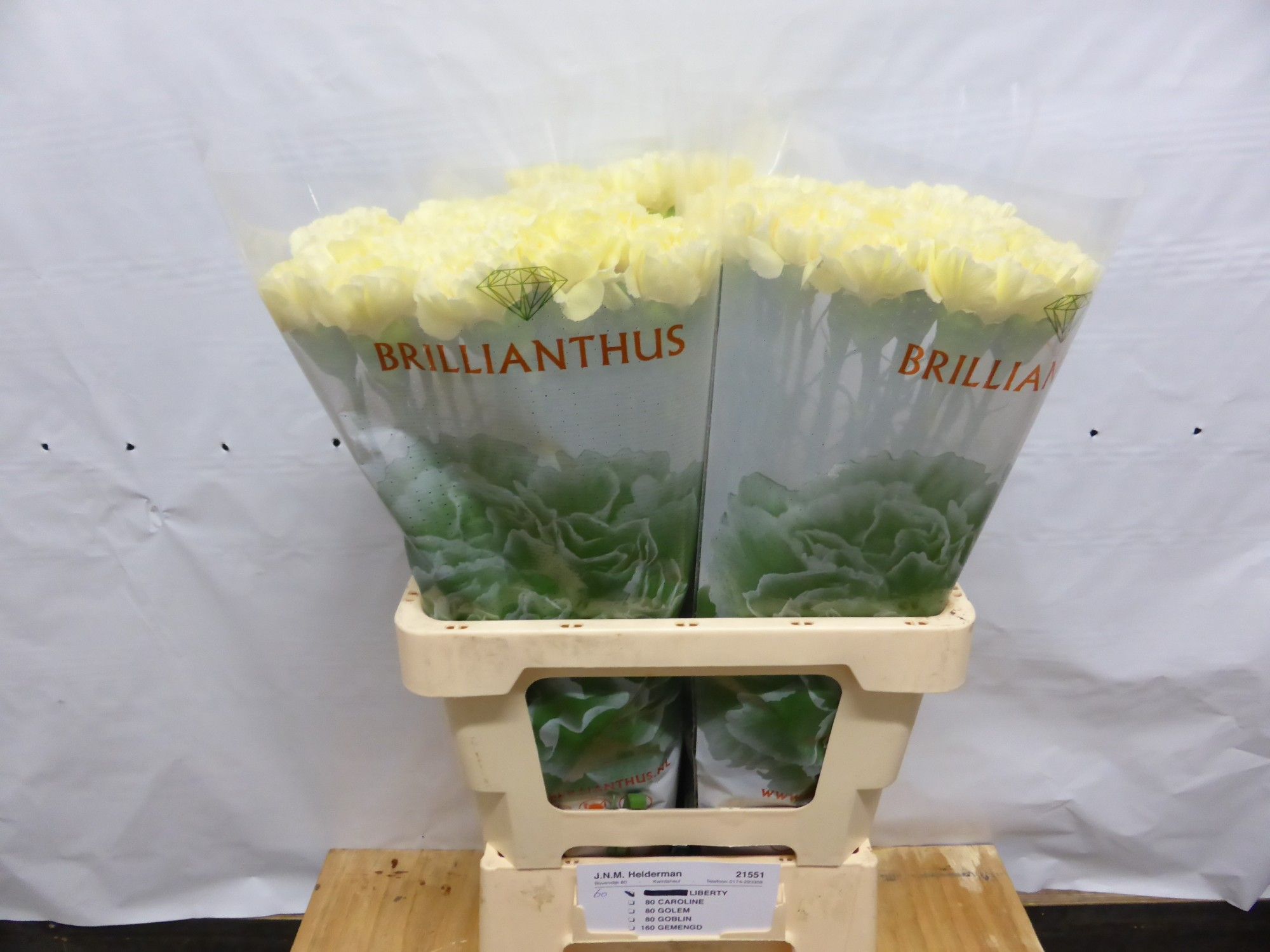 Диантус од. Либерти, шт.