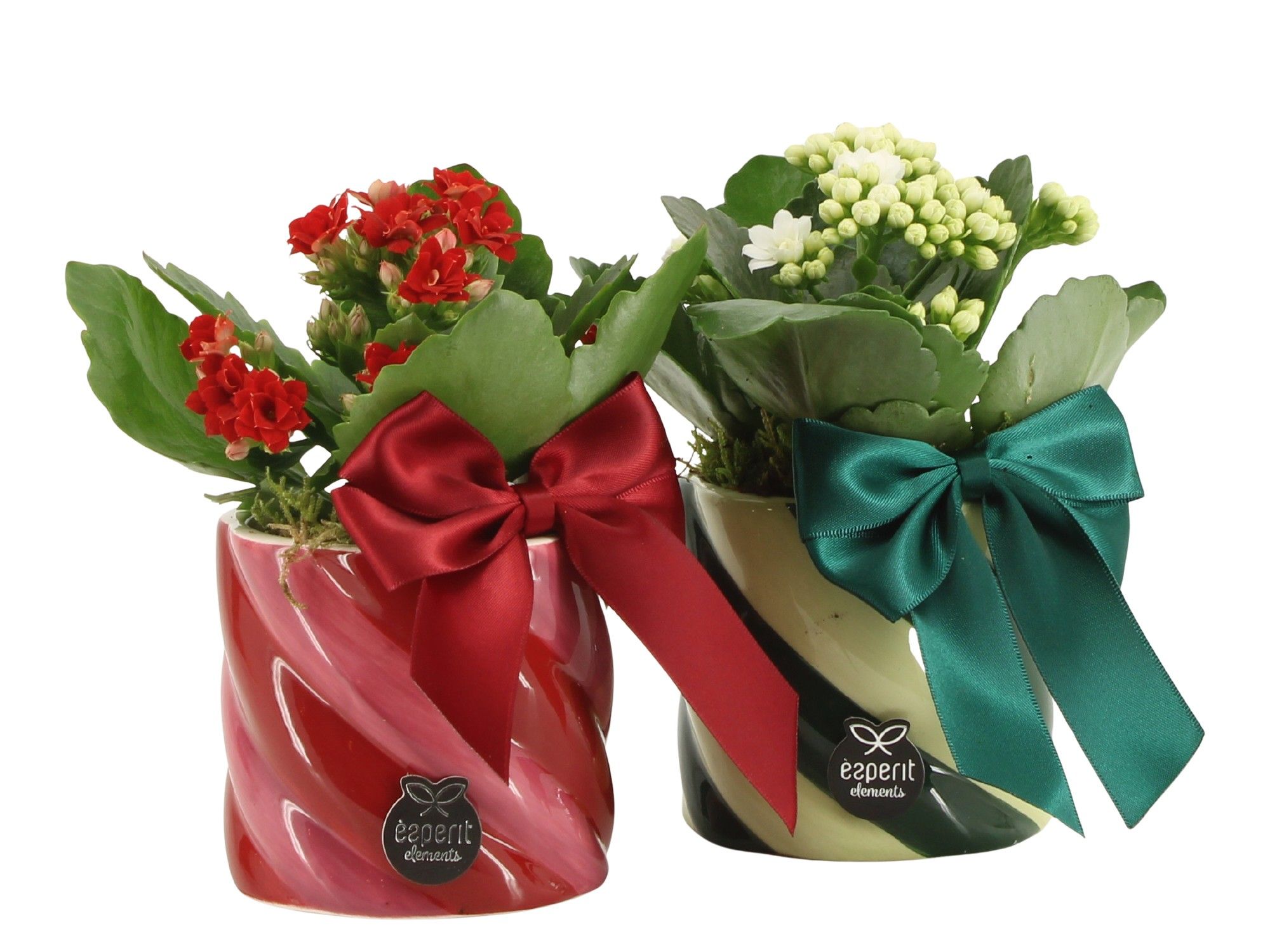 61770: X-mas arrangement, D 8