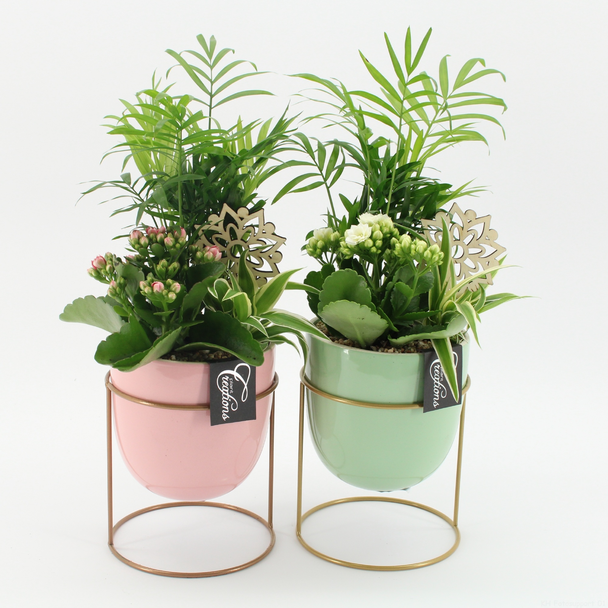 ESCR-2605M Essentials, D 13