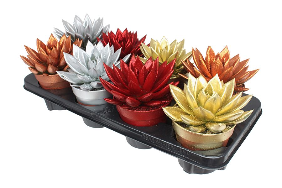 Miranda coloured Xmas + Natureglit® mix, D 12 cm