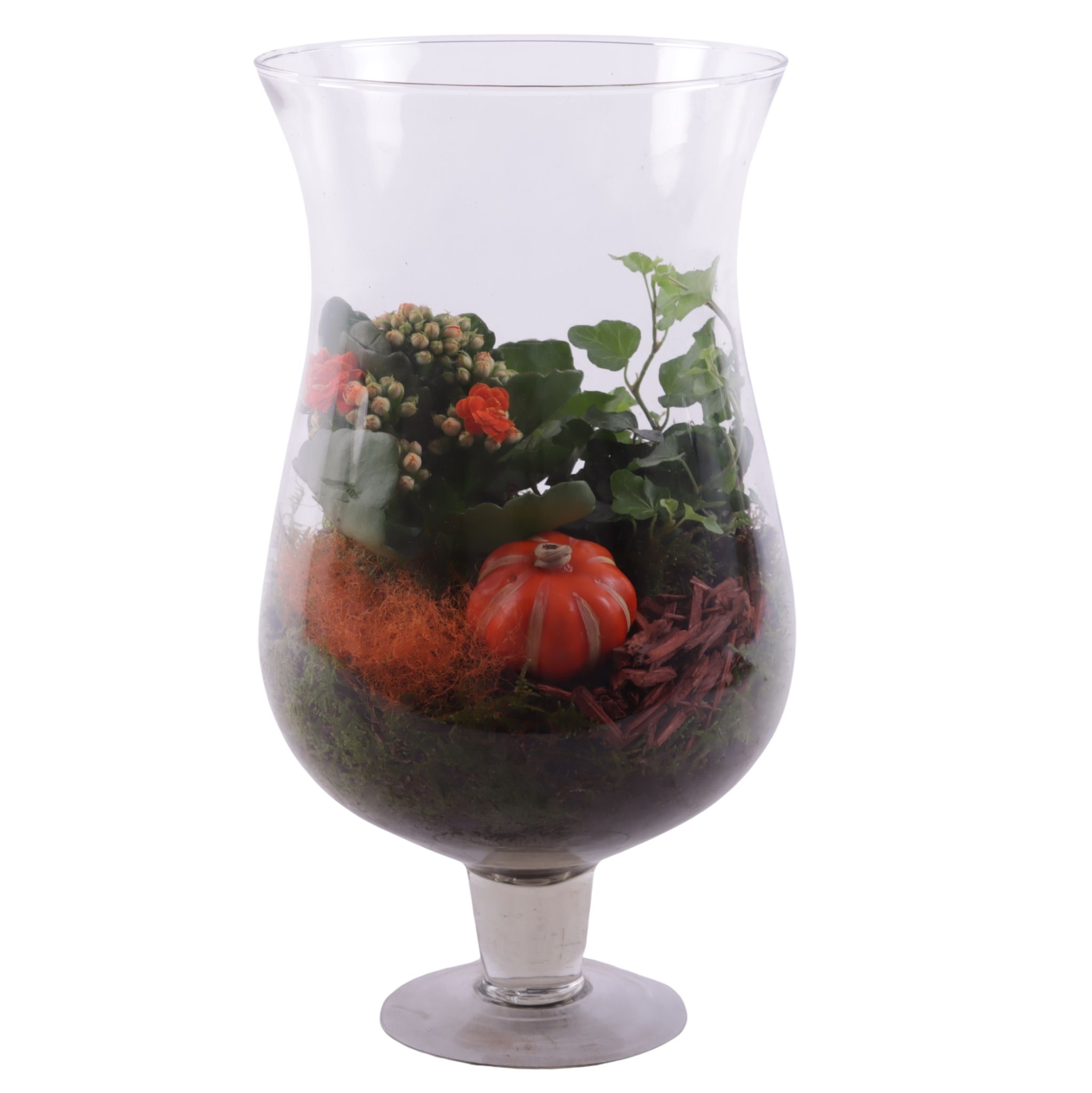 Halloween Arr. Indoor Glass Cognac Ø17cm 2PP, D 17 cm Halloween Arr. Indoor Glass Cognac Ø17cm 2PP, D 17 cm