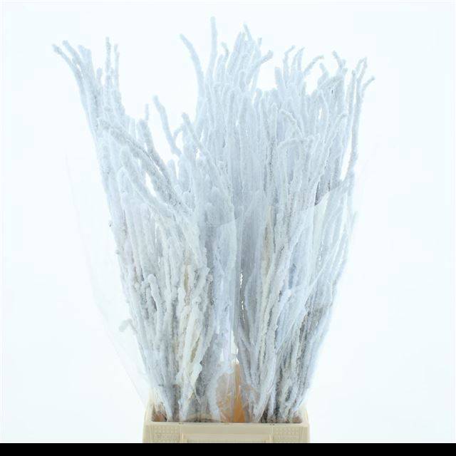 Беркетакен Овериг Крашеный (краш. ) 70, шт.