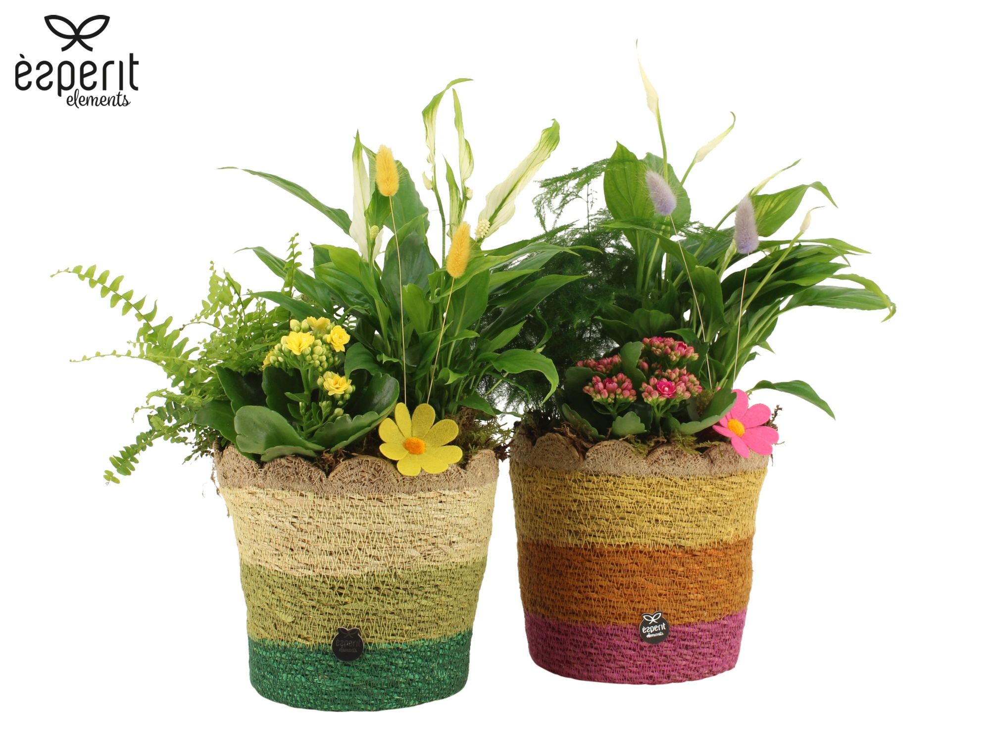 31776: Reinvention arrangement, D 18