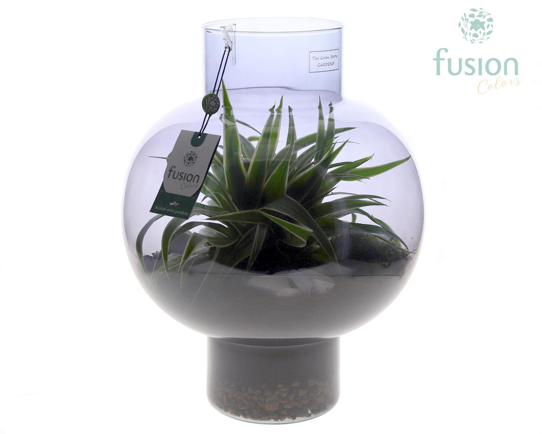 Green Bottle Laura Large Smoky glas met Chlorophytum, D 31