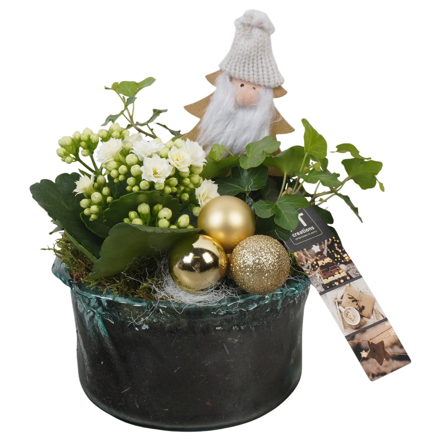 PTCHG5723 Arrangement Christmas Gold in glas schaal, D 15 cm