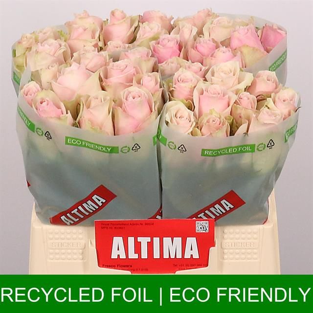 Роза од. Пинк Атена 40, шт. Роза од. Пинк Атена 40, шт.