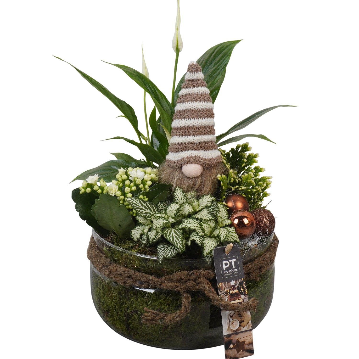 PTCHB9854 Arrangement Christmas Bronze in glas schaal, D 19 cm