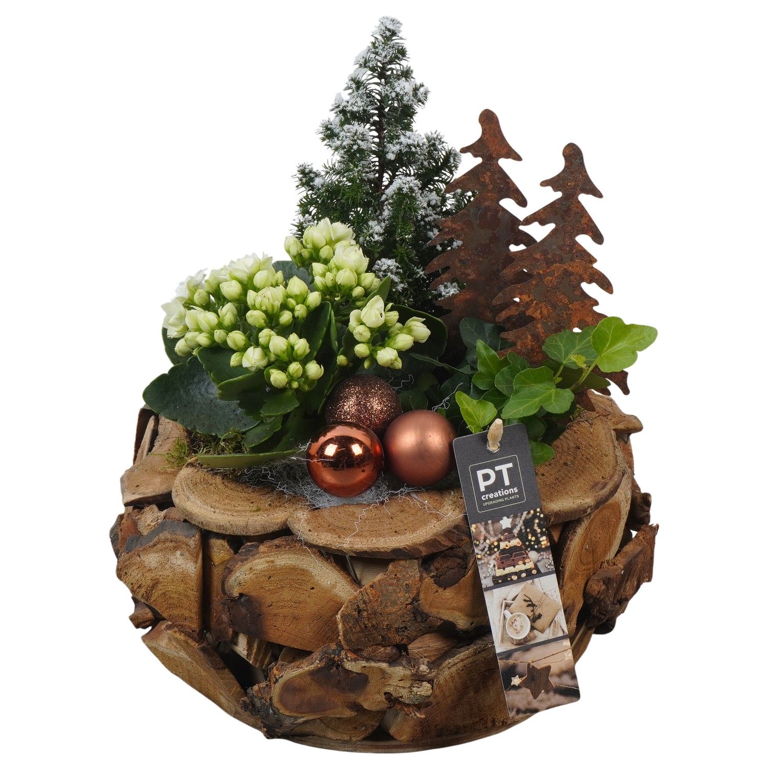 PTCHB9814 Arrangement Christmas Bronze in houten pot, D 24 cm