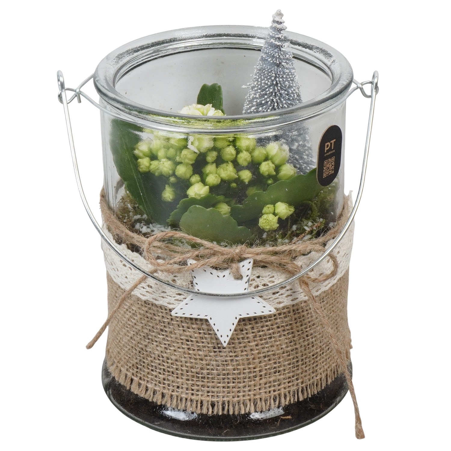 PTCHW7931 Arrangement Christmas White in glazen vaas, D 14