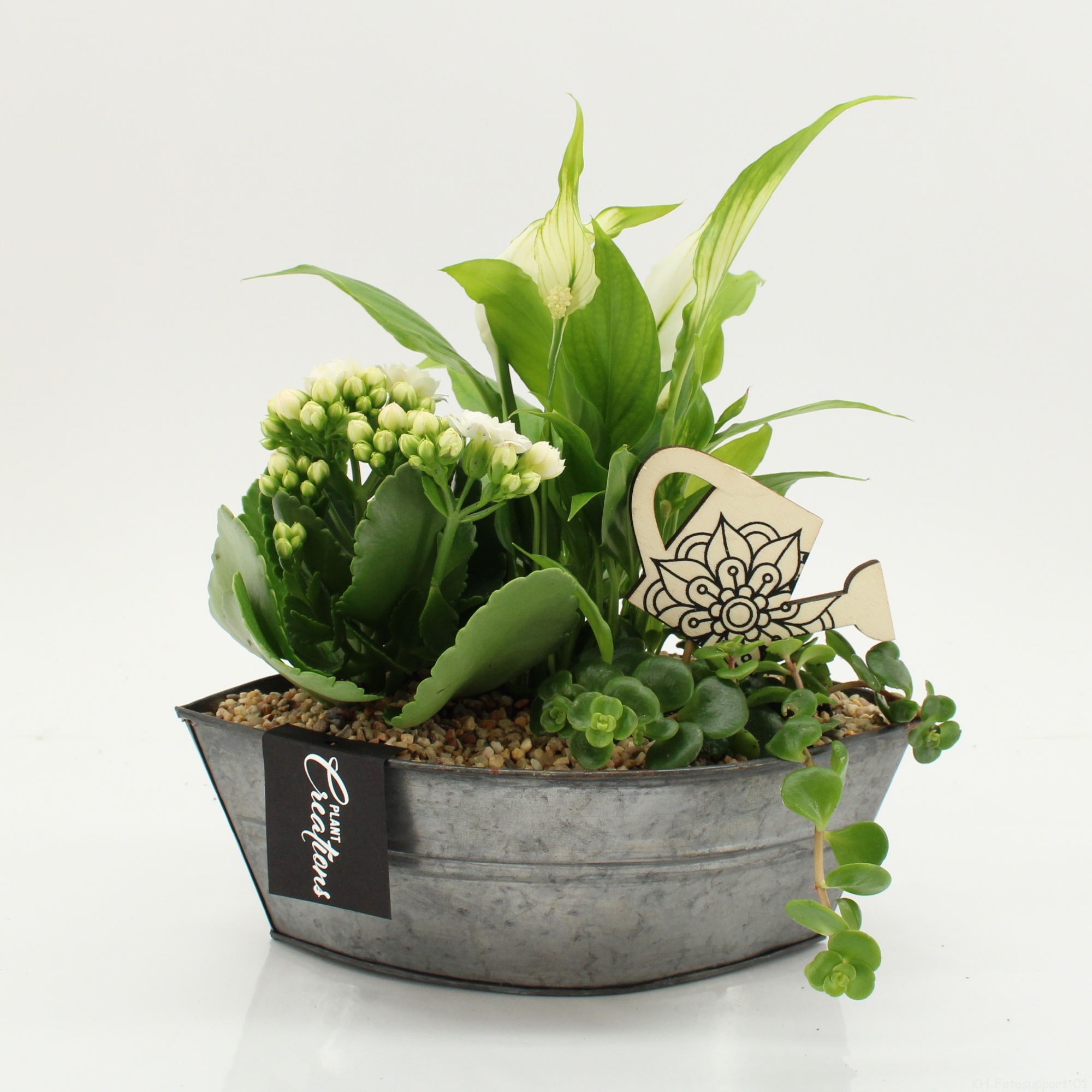 FDCR-2614W Basic Fundamentals, D 22