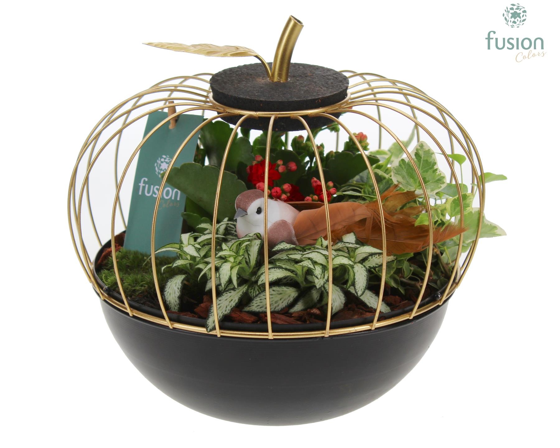 Appel metaal goudzwart Large met Arrangement, D 23 cm Appel metaal goudzwart Large met Arrangement, D 23 cm